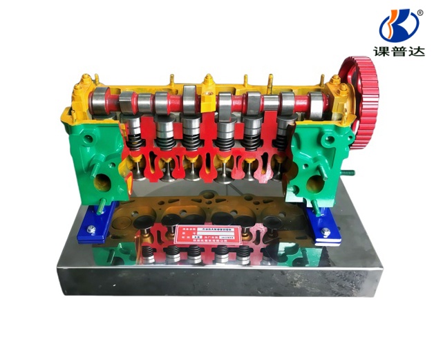 氣缸蓋解剖模型